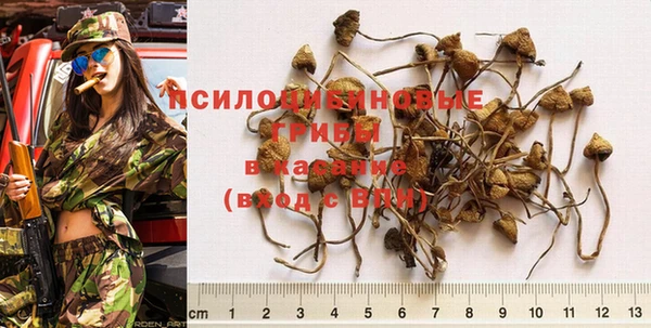 скорость Алексин