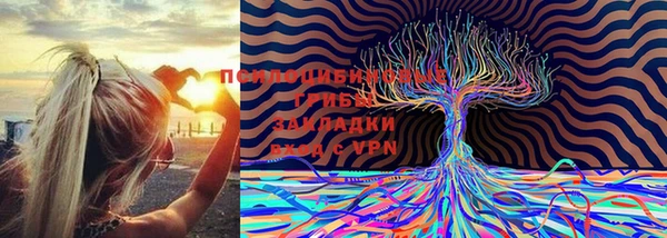 скорость Алексин