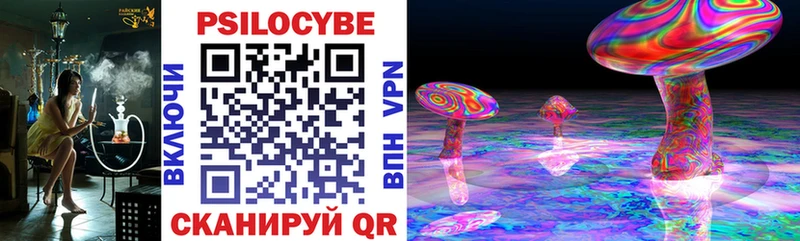 продажа наркотиков  Ленинск-Кузнецкий  Псилоцибиновые грибы Psilocybe 